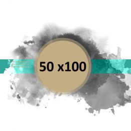 mini_50 100